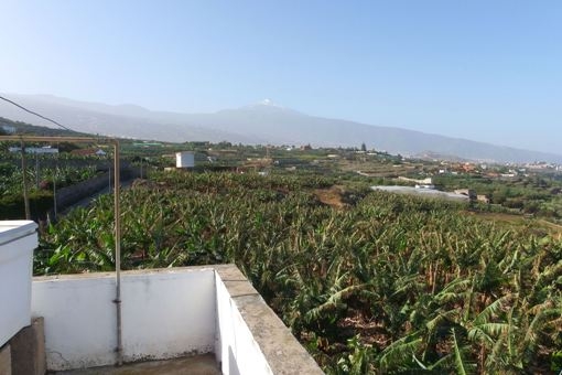 Finca in La Orotava