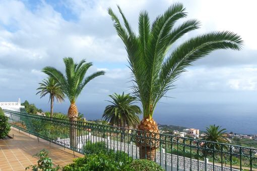 Der Blick von der Terrasse