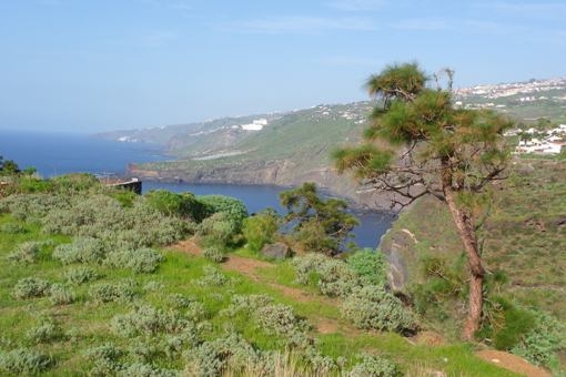 Grundstück in Santa Úrsula zum Kauf