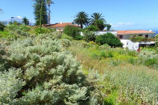 Südwestblick zum Teide