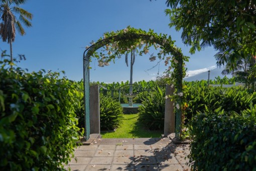 Gartenbereich
