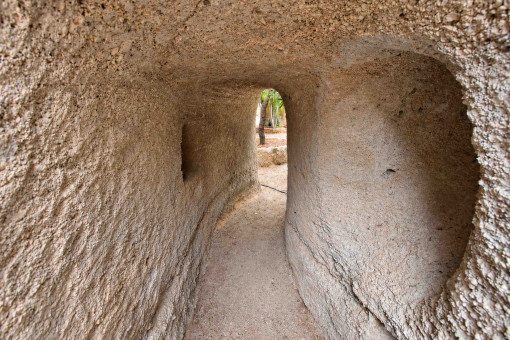 Höhle