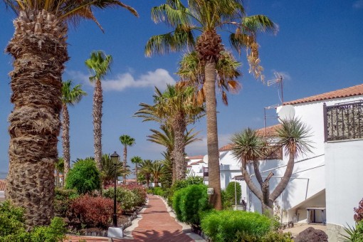 Eine geräumige Erdgeschosswohnung mit 3 Schlafzimmern direkt am Golfplatz in San Miguel de Abona