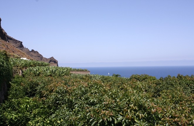 Voll bewirtschaftete Finca in bester klimatischer Lage nahe Golfplatz und Strand