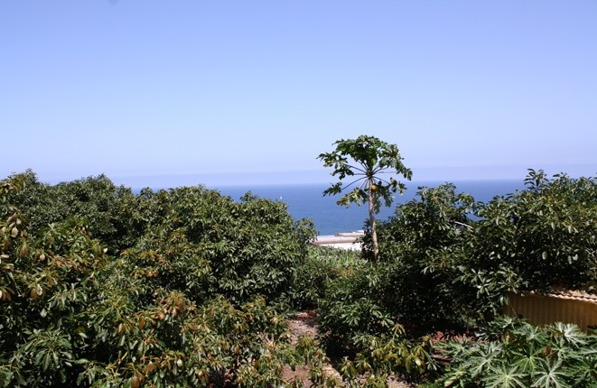 Die Finca in anderer Perspektive